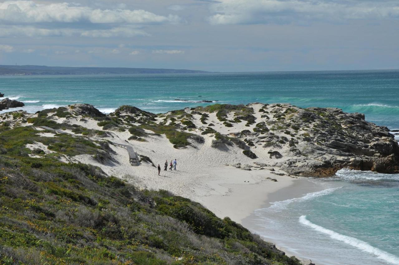 De Hoop Collection - Vlei Cottages De Hoop Nature Reserve Eksteriør billede