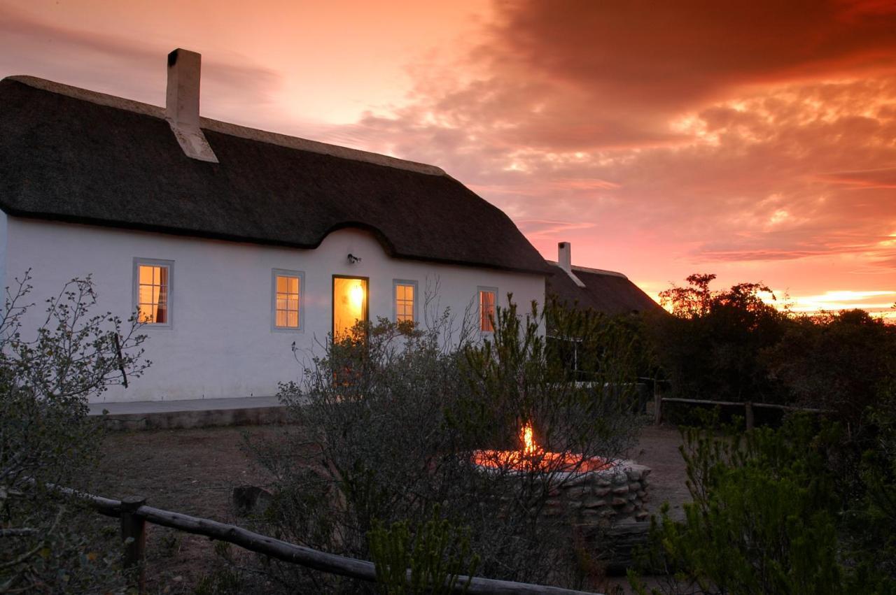 De Hoop Collection - Vlei Cottages De Hoop Nature Reserve Eksteriør billede