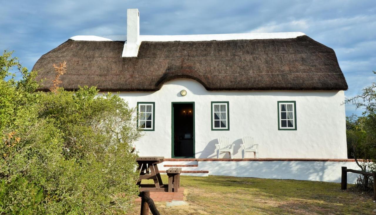De Hoop Collection - Vlei Cottages De Hoop Nature Reserve Eksteriør billede